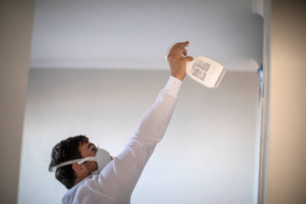 Mold Removal Process in Greenfield, MN